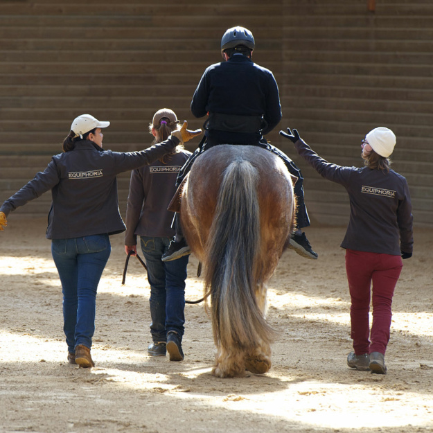 An equine-facilitated psychotherapy EFP session