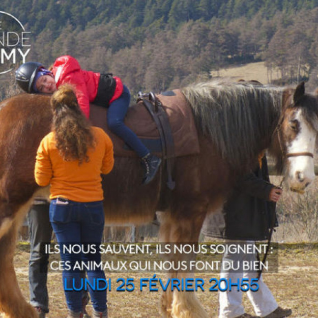 Documentary "Le Monde de Jamy"