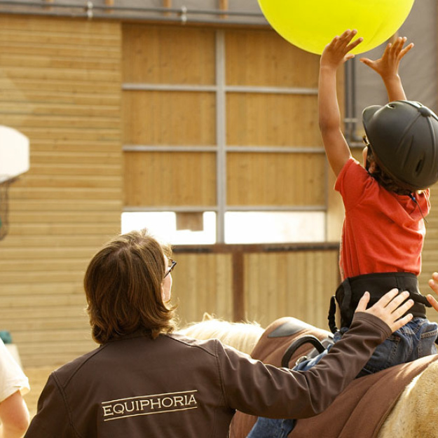 An Equine-Assisted Learning (EAL)