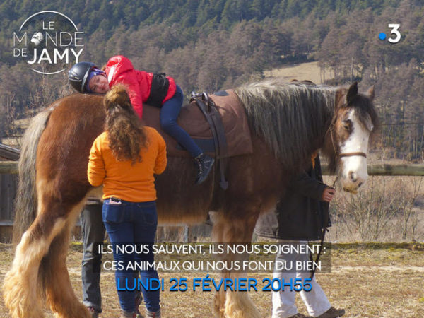 Equiphoria dans le Monde de Jamy