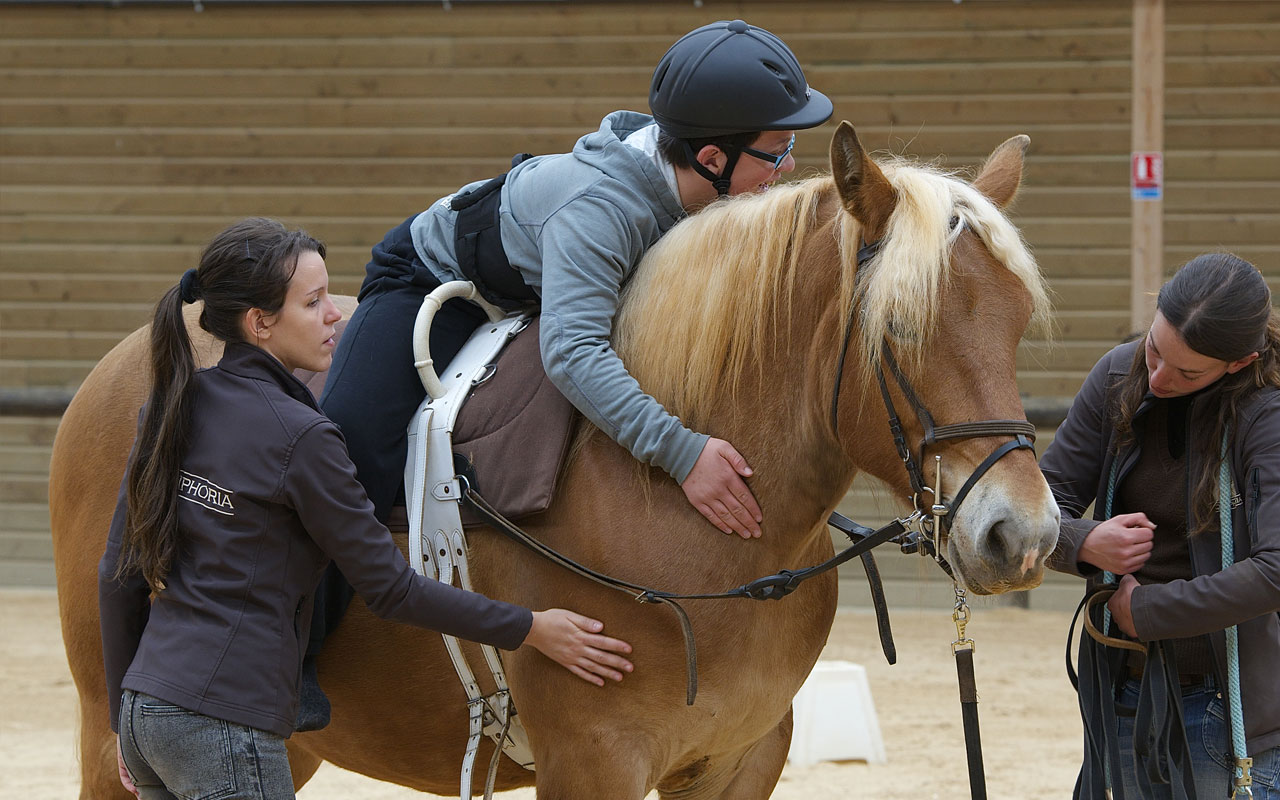 Hippothérapie