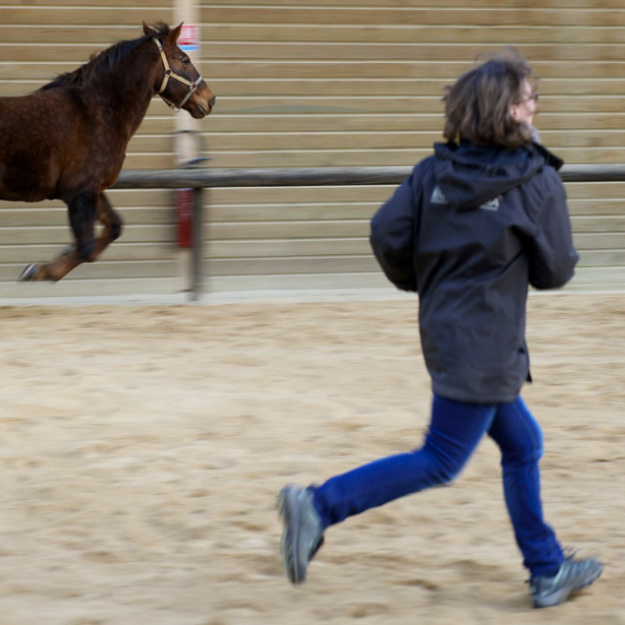 Delphine joue avec Phoebus